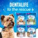 DentaLife ActivFresh Dog Treats for Mini Breed Dogs - 479 g Pouch (1 Pack) 479 g (Pack of 1) - Buy Online on GoSupps.com