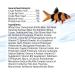 Aqueon Bottom Feeder Tablets 3 oz - Pack of 1 | Perfect Nutrition for Bottom Feeding Fish - Buy Online on GoSupps.com