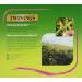 Twinings Jasmine Green Tea - 80 Tea Bags, 80 Count - Pack of 1 - Buy Online on GoSupps.com