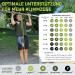 Wild Instincts Premium Resistance Straps - Strength Training Pull-Up Bands Set for CrossFit Stretching & Fitness - Includes Carry Bag & App - Buy Online on GoSupps.com