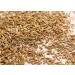 Gourmanity 1lb Premium Whole Fennel Seeds Bulk - Resealable Bag for Roasted Fennel Seeds, Herb, & Bulb Substitute | Kosher Certified - Buy Online on GoSupps.com