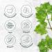 Buy Liebst l Dried Monte Nativo (250g) - Premium Rubbing Lovage Spice for Soups & Stews - 100% Natural Maggikraut - Levisticum Officinalis - International Shipping Available - Buy Online on GoSupps.com