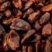 Old India Dates Pitted 2kg - Premium Quality Dried Dates - Buy Online Now! - Buy Online on GoSupps.com