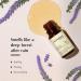 AROMAFUME Patchouli Essential Oil - 100% Natural Therapeutic Grade Essential Oils - Pure Harmonising Aromatherapy Oil for Home Diffusers - Gifts for Her - 10ml - Buy Online on GoSupps.com