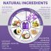 Natural Riches Purple Shampoo & Conditioner Set - Sulfate-Free for Silver, Blonde & Platinum Hair - Removes Yellow Brass Tones - 32 fl oz - Salon Grade - Buy Online on GoSupps.com