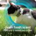 Sergeant's Guardian Flea & Tick Cat Collar - 1 Count | Long-lasting Protection - Buy Online on GoSupps.com