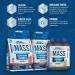Applied Nutrition Critical Mass Professional 2.4kg Vanilla - High Calorie Weight Gainer for Lean Mass - 16 Servings - Buy Online on GoSupps.com