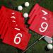 9 Pcs Numbered Golf Flag Set | Nylon Putting Green Flags 1-9 | 8.9 x 5.7 Inch Golf Pin Flags for Yard, Indoor & Outdoor Practice - Buy Online on GoSupps.com