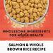 Beyond Simply Natural Dry Cat Food Salmon & Whole Brown Rice - 2.72 kg Bag 2.72 kg (Pack of 1) - Buy Online on GoSupps.com