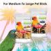 Kaytee Blueberry Avian Treat Stick 5.5 oz - Superfood Bird Treat (1 Pack) - Buy Online on GoSupps.com