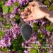 Sinutan | Konjac Face Sponge | 100% Natural Bamboo Activated Charcoal | Konjac Sponge for Exfoliation and Deep Pore Cleansing | Ecological Sponges | Gift Idea - Buy Online on GoSupps.com