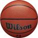 WILSON NBA Authentic Series Size 7 Basketball - 29.5 Indoor/Outdoor - Buy Online on GoSupps.com