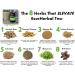 EsseHerbal Tea 8 Herb Formula - Organic Detox & Cleanse Support Non-GMO Vegan Immune System Boost - 32 oz - Buy Online on GoSupps.com