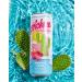 Pricklee Cactus Water | Antioxidant-Packed Hydration with Low Sugar & No Caffeine - Buy Online on GoSupps.com