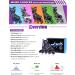 2PM SPORTS Girls Adjustable Inline Skates | Illuminating Roller Skates for Kids | Beginner Fun  Purple | Men  Ladies  Youth - Buy Online on GoSupps.com
