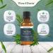 Viva Doria 100% Pure Australian Tea Tree Essential Oil - Undiluted Food Grade 30 mL | International Shipping Available - Buy Online on GoSupps.com
