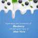 Blueberry and Aloe Vera Body Lotion Alcohol Free and Paraben Free with Blueberry and Aloe Vera Scent made with Emollients Vitamin E Vitamin B5 & Natural Extracts 16.9 Fl Oz Blueberry & Aloe Vera 16.9 Fl Oz (Pack of 1) - Buy Online on GoSupps.com