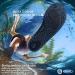 Simari Water Shoes for Men & Women - Quick-Drying Aqua Shoes | Bathing Beach & Swimming Footwear | SWS001 P nktchen Black 44/45 EU - Buy Online on GoSupps.com