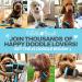 The Doodle Brush - Best Dog Comb for Goldendoodles & Labradoodles | Pet Comb for Medium & Long Hair Dogs | Metal Ridge & Fellkamm   - Buy Online on GoSupps.com
