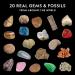 National Geographic Rock and Fossil Collection - 20 Stones & Fossils with Rose Quartz Jaspis & More | STEM Science Set for Kids - Buy Online on GoSupps.com