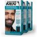 Just For Men Mustache & Beard Beard Dye & Control GX Grey Reducing Shampoo Gradually Colors Hair 118ml (3 Count) - Buy Online on GoSupps.com