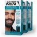 Just For Men Mustache & Beard Beard Dye for Men with Brush Included for Easy Application & Control GX 2 in 1 Grey Reducing Shampoo and Conditioner Gradually Colors Hair 118ml (3 Count) - Buy Online on GoSupps.com