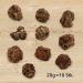 LEO L WENKATZ Matatabi Fruits - Intense Catnip Alternative | Premium Cat Toys for Happy Felines - Buy Online on GoSupps.com