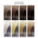 Adore Shining Semi Permanent Hair Color Mystic Gray 118ml - Buy Online for International Shipping - Buy Online on GoSupps.com