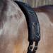 Horze Black Horse Training Surcingle - Premium Quality for Effective Training - Buy Online on GoSupps.com