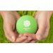 Natural Rubber Massage Balls Set - 2 x 6.3 cm Green for Fascia & Self-Massage - Ideal for Relaxation and Recovery - Buy Online on GoSupps.com