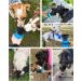 Lesotc 2022 Upgraded Pet Water Bottle - Leak Proof Dog Travel Dispenser | Lightweight & Convenient for Outdoor Walking | BPA Free | 21oz Black - Buy Online on GoSupps.com
