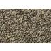 Organic French Lentils - 2 lbs (Pack of 1) | Hunza Lentils - Buy Online on GoSupps.com