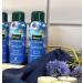 Kneipp Aroma Care Foam Bath Daydreaming - Pack of 3 (3 x 400 ml) | International Shipping Available - Buy Online on GoSupps.com