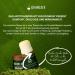 Antitranspirant naturel - Sans aluminium - D odorant anti-transpirant pour homme - Ingr dients naturels (3) - Buy Online on GoSupps.com