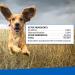 Adams Ear Mite Treatment For Dogs and Cats Over 12 Weeks  Kills Ear Mites On Contact  Relief For Dogs and Cats Suffering From Ear Mites  Soothing Aloe and Lanolin Formula .5 Fl Oz - Buy Online on GoSupps.com