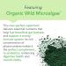 New Earth Acidophilus - Probiotic for Upper GI Support - Lactobacillus DDS-1 Inulin Prebiotic & Organic Wild Microalgae - 5 Billion CFU for Gut Health Digestion & Immune Function - Vegan 30 ct - Buy Online on GoSupps.com