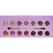 SIGMA Beauty Enchanted Eyeshadow Palette - 1 Pc Eye Shadow for Women - Buy Online on GoSupps.com