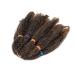 SEGO 3 Packs Afro Crochet Braids - Kinky Curly Hair Extensions in Natural Black & Honey Blonde - Best for Stylish Hair Transformations - Buy Online on GoSupps.com