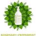 Sapadilla Rosemary + Peppermint Biodegradable Hand Soap - 12 oz Pump - Eco-Friendly & Refreshing - Buy Online on GoSupps.com