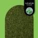 Dill Weed 500g - 100% Pure Natural Dried Herb for Spice Mixtures (1.1lb) - Buy Online on GoSupps.com