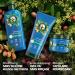 Herbal Essences R paration Shampoing 250ml Et Conditionneur de cheveux 200ml Huile d'Argan. Nutrition Intense pour une Chevelure Douce et Lisse. Ingr dients d'Origine Naturelle V gan 250 g (Lot de 1) - Buy Online on GoSupps.com