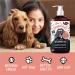 Bugalugs Scottish Salmon Oil For Dogs & Cats Supplement Supports Dog Skin And Coat Itchy Skin & A Moulting Dog Omega 3 Fish Oil Perfect For Grooming & Dog Food (500ml) Salmon 500ml - Buy Online on GoSupps.com