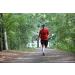 B-Driven Knee High Compression Socks 20-30 mmHG for Blood Circulation | Black 2 Pairs - Ideal for Sports & Travel - Buy Online on GoSupps.com
