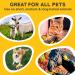 Pat Your Pet Hair Remover Glove - Effective Dog & Cat Brush for Easy Pet Grooming - Buy Online on GoSupps.com
