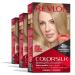 Permanent Hair Color by Revlon Permanent Blonde Hair Dye Colorsilk with 100% Gray Coverage Ammonia-Free Keratin and Amino Acids Blonde Shades (Pack of 3) 74 Medium Blonde