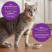 Meow Mix Wet Cat Food Tenders in Sauce Surf & Turf Favourites Variety Pack Pack of 48 Variety Pack 78 g (Pack of 48) - Buy Online on GoSupps.com