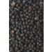  Biojoy Biojoy Organic Blackthorn Fruits (100g) dried and whole ideal for tea and infusion (Prunus spinosa) - Buy Online on GoSupps.com