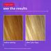 Color Oops Fading Wash Kit with Activated Charcoal - Best Bleach Wash Shampoo for Hair Color Removal - Buy Online on GoSupps.com