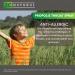 CGMLABS Propolis Throat Spray 1 fl oz - Alcohol-Free Immune Support & Antioxidant - Buy Online on GoSupps.com
