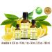 LEMON (Mediterranean) ESSENTIAL OIL. 100% Pure Therapeutic Grade Premium Quality Undiluted. 3.33 Fl.oz.- 100 ml. - Buy Online on GoSupps.com